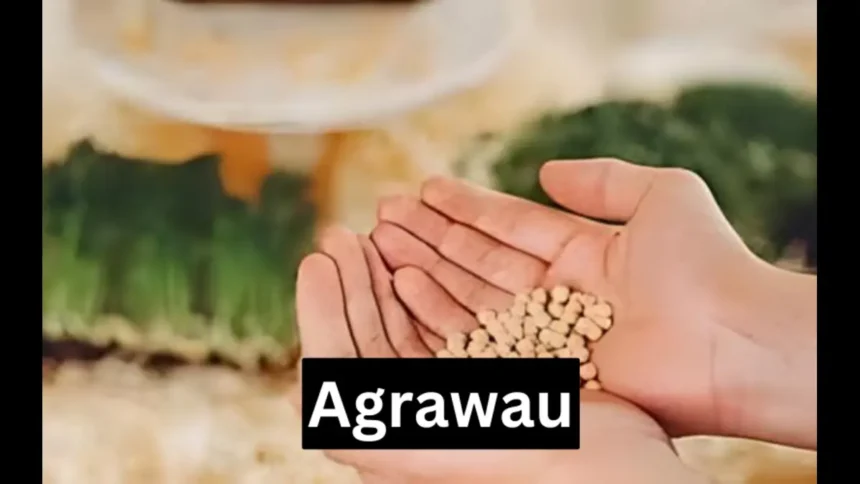 agrawau